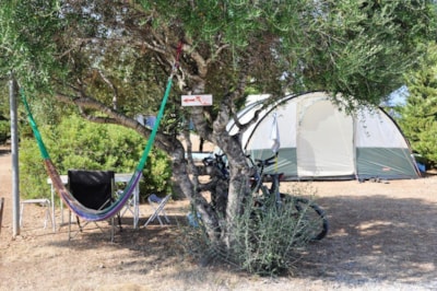 Pitch + car + tent or caravan + electricity 10A