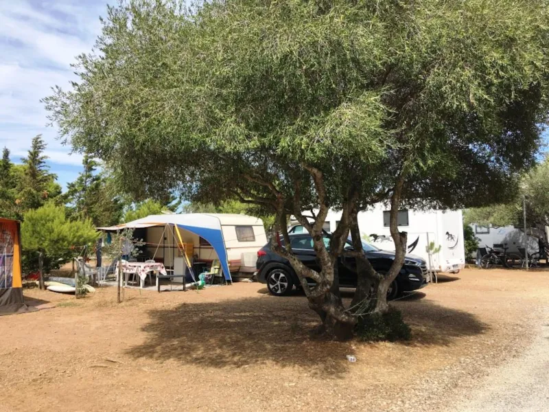 Emplacement Nu + 1 Véhicule + Tente Ou Caravane + Électricité 10A