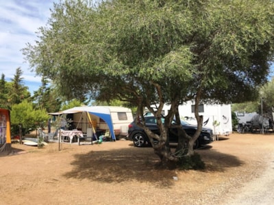 Pitch + car + tent or caravan + electricity 10A