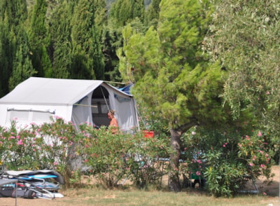 Pitch + car + tent or caravan + electricity 10A