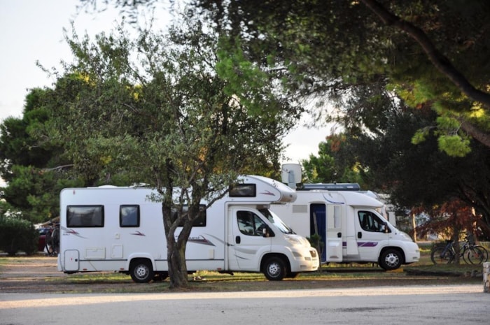 Emplacement Nu + 1 Véhicule + Tente Ou Caravane + Électricité 10A