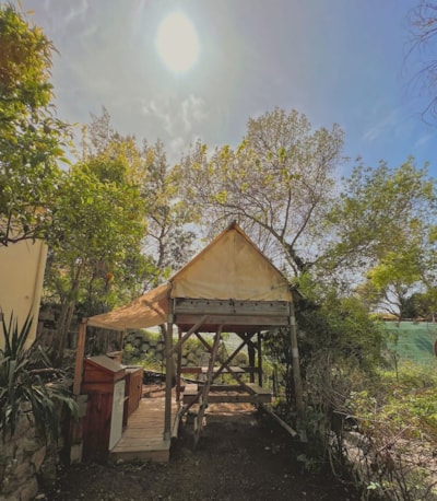 Tent on stilts - 5m² - without toilet blocks — 1