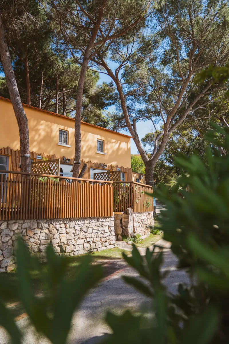 Duplex Jasmin Sérénité 30M² - 3 Pièces - 1 Chambre - Climatisation