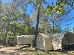 Alojamiento - Bungalow Coco Sweet - Camping Le Mas de Reilhe