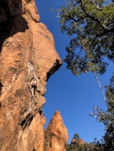 Foto #18 van Camping de Parpaillon