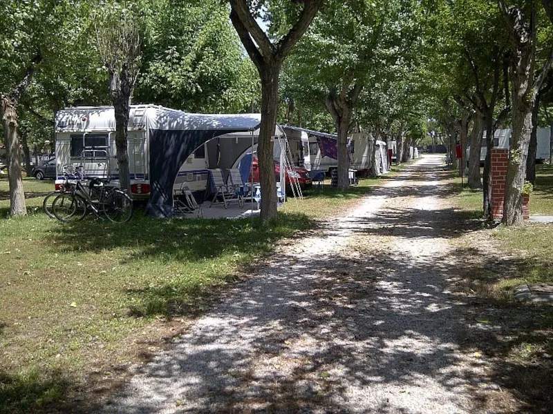 Emplacement Standard 60/80 M2 - Animaux Admis