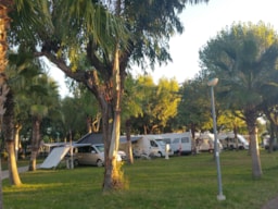 Pitch - Standard Pitch 60/80 M2 Suitable For Motorhome/Caravan/Tent Up To 6,90 M Length - Eurcamping Roseto
