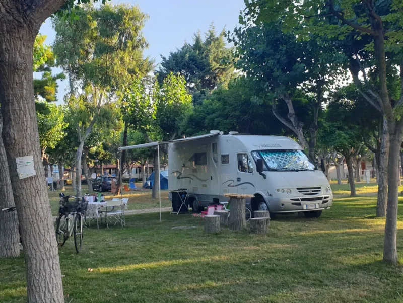 Confort Emplacement 110 M2 - Animaux Admis