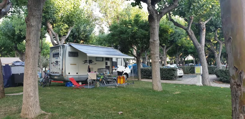 Confort Emplacement 110 M2 - Animaux Admis