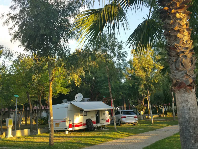 Emplacement Standard 60/80 M2 - Animaux Admis