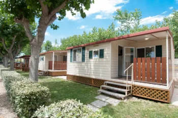 Mietunterkunft - Lodge Comfort - Haustiere Erlaubt - Club del Sole Roseto degli Abruzzi Easy Camping Village 
