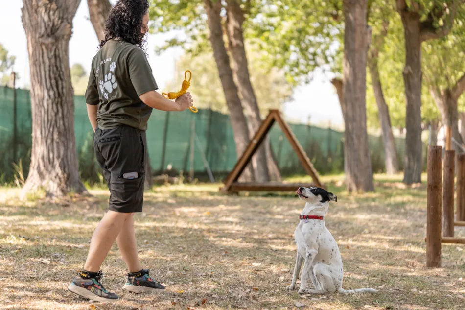 Club del Sole Roseto degli Abruzzi Easy Camping Village 