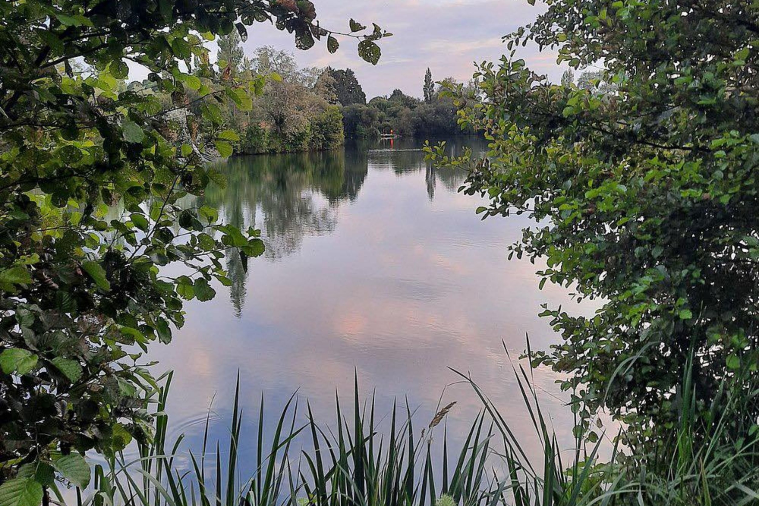 Domaine de Mesqueau — Foto 10