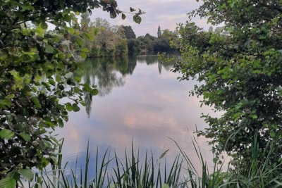 Domaine de Mesqueau