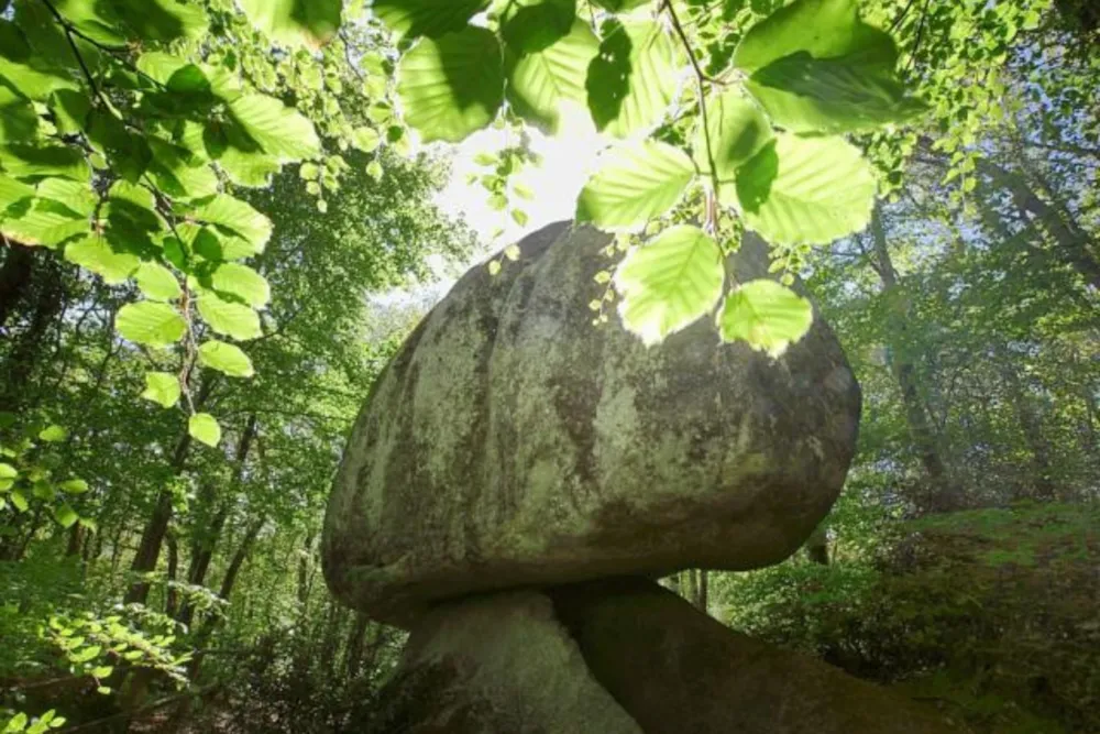 Domaine de Mesqueau - image n°83 - UniversalBooking