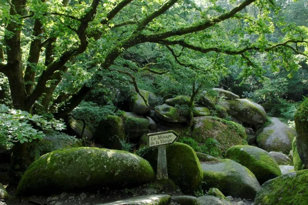 Domaine de Mesqueau - image n°84 - UniversalBooking