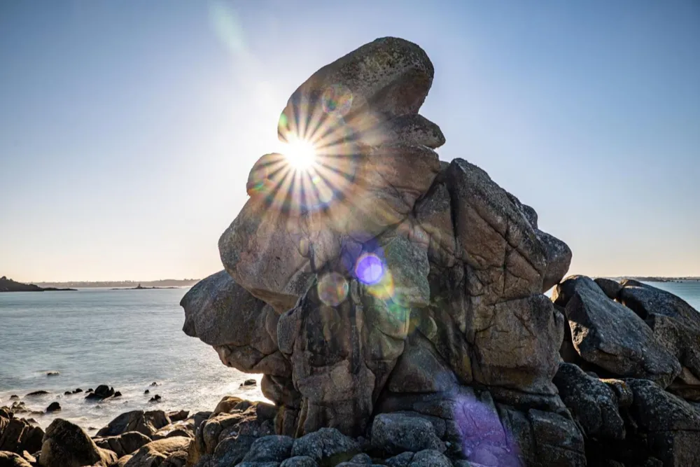 Domaine de Mesqueau - image n°75 - UniversalBooking