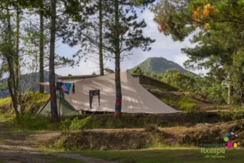 Stellplatz - Medium Stellplatz - Camping Itxaspe