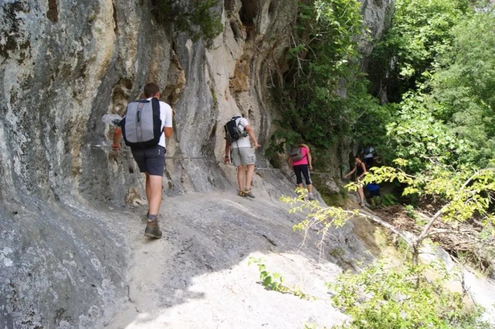 Camping Acacias - image n°52 - Ardeche