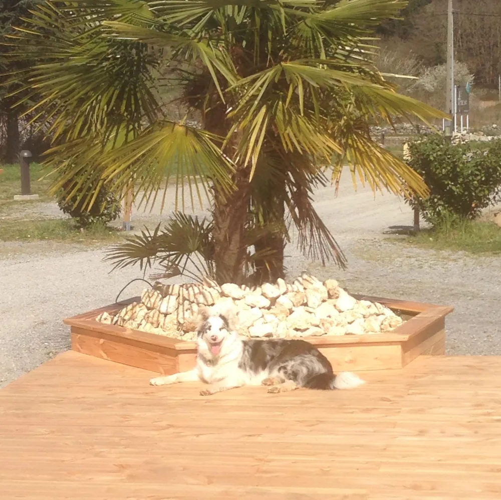 Camping Acacias - image n°73 - Ardeche