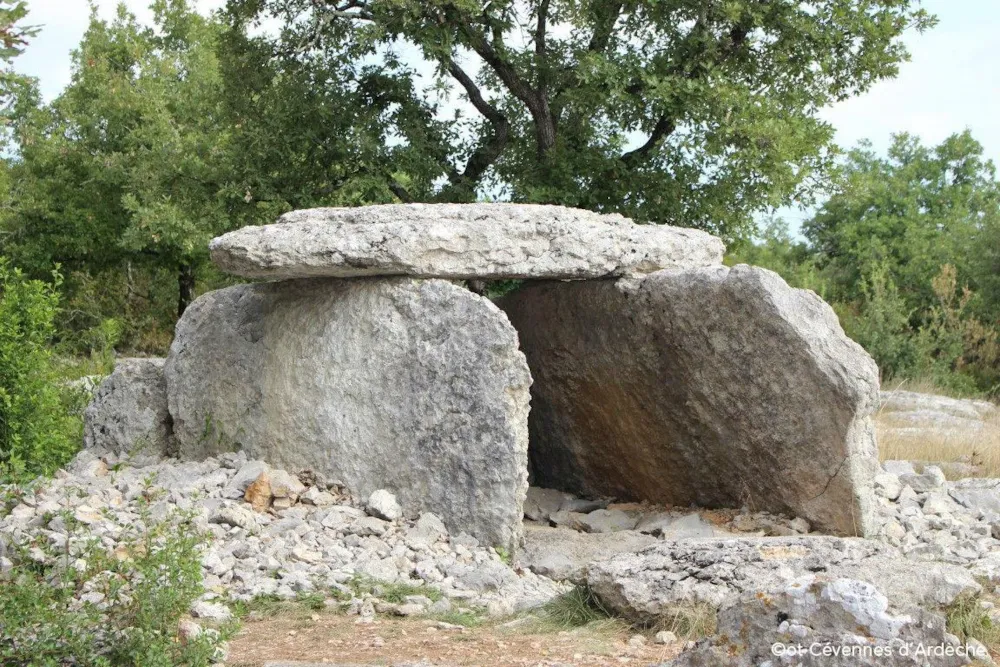 Camping Acacias - image n°66 - Ardeche