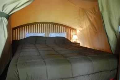 Tente Safari Kenya 30M² - 2 Chambres - Sans Sanitaires