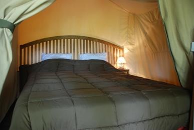 Tent Safari  KENYA 30m² - 2 bedrooms - without toilet blocks