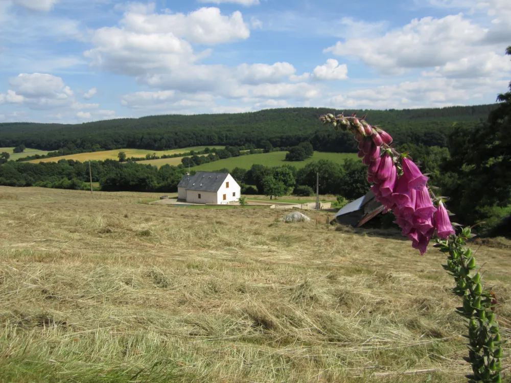 Camping Les Tournesols - image n°39 - UniversalBooking