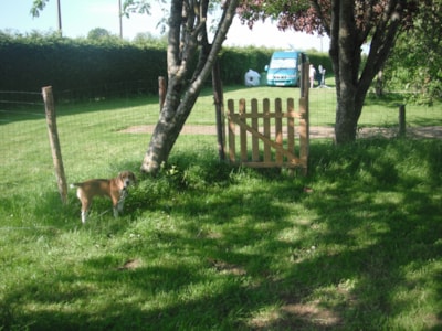 Pitch XXL 300m² + dog pens
