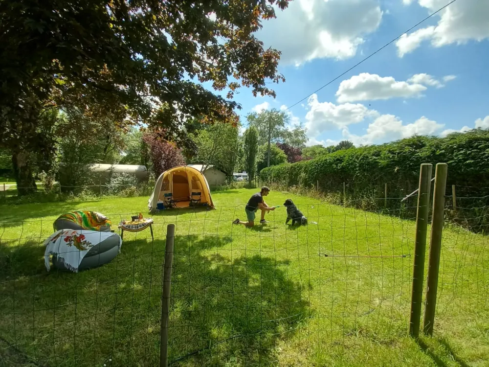 Emplacement - Emplacement Xxl 300M² + Enclos Pour Chien - Camping Les Tournesols