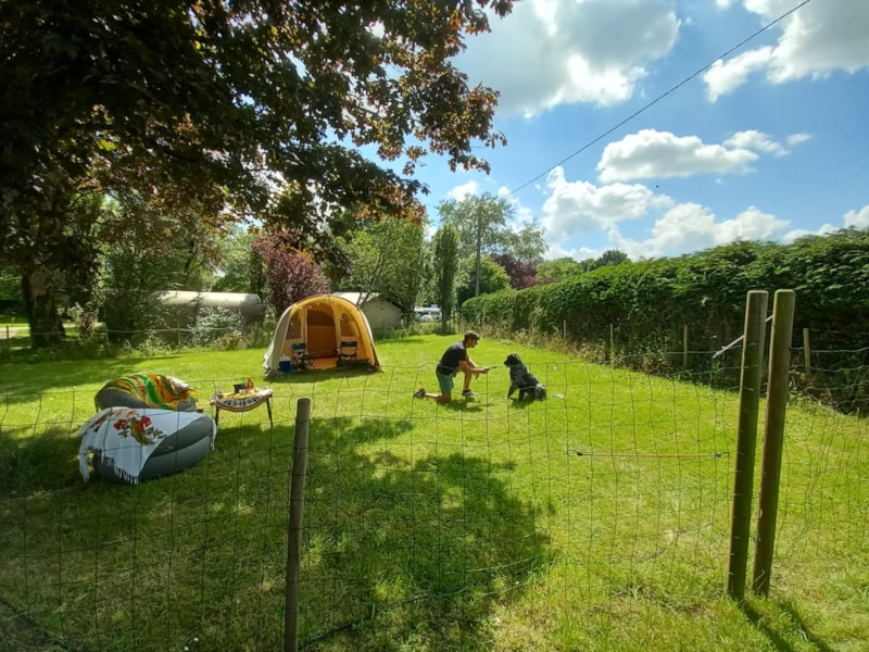 Piazzola XXL + recinzione per cane