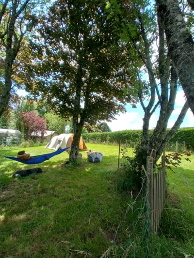 Pitch XXL 300m² + dog pens