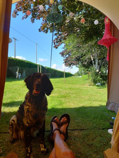 Pitch XXL 300m² + dog pens