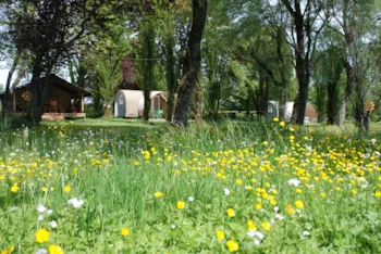 Camping Les Tournesols - MyCamping
