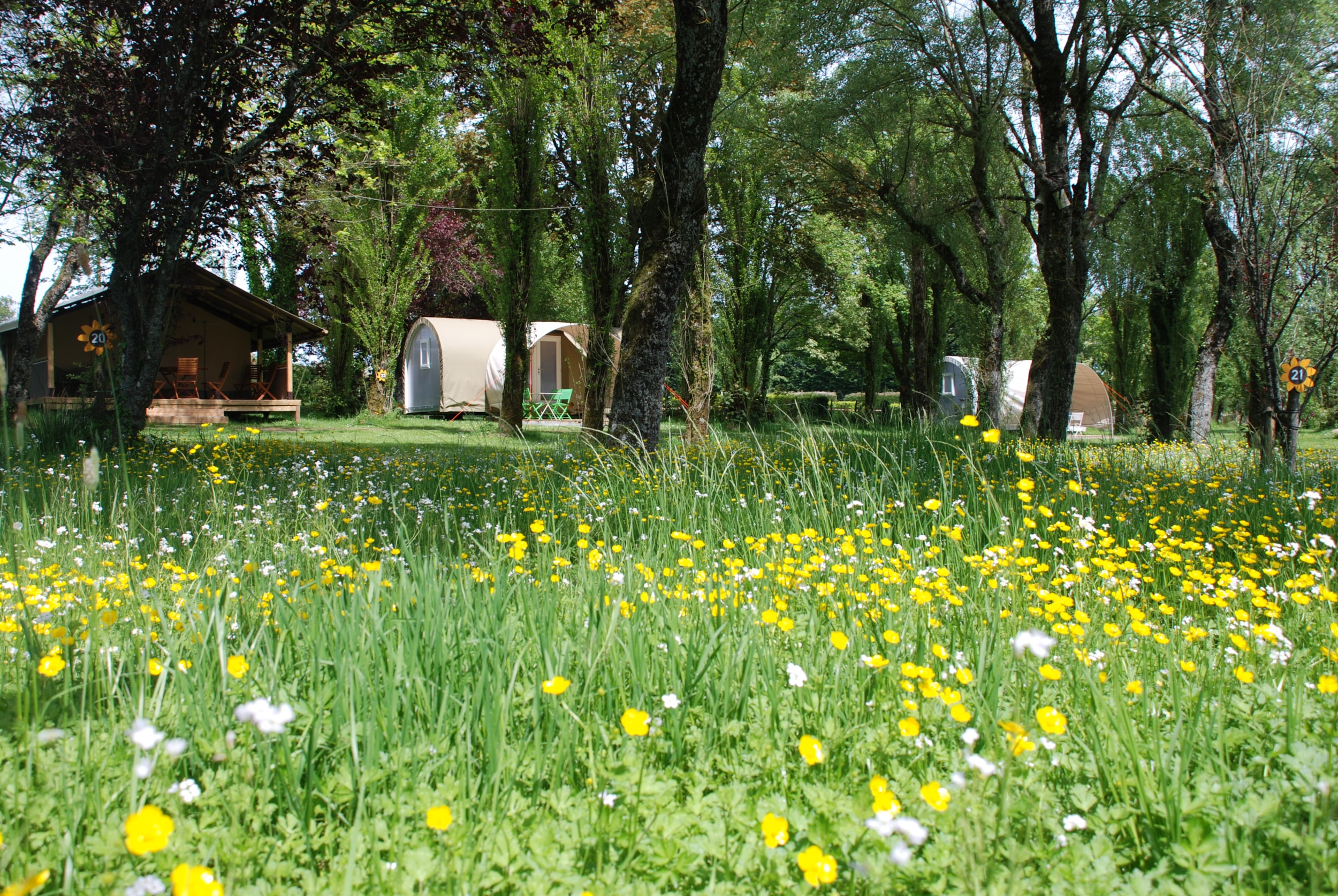 Camping Les Tournesols — Photo 1