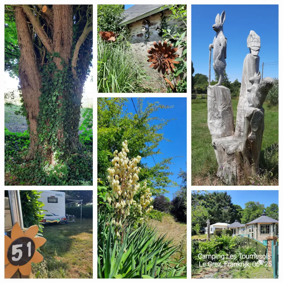 Camping Les Tournesols