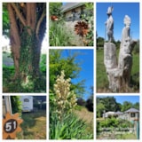 Foto #10 van Camping Les Tournesols