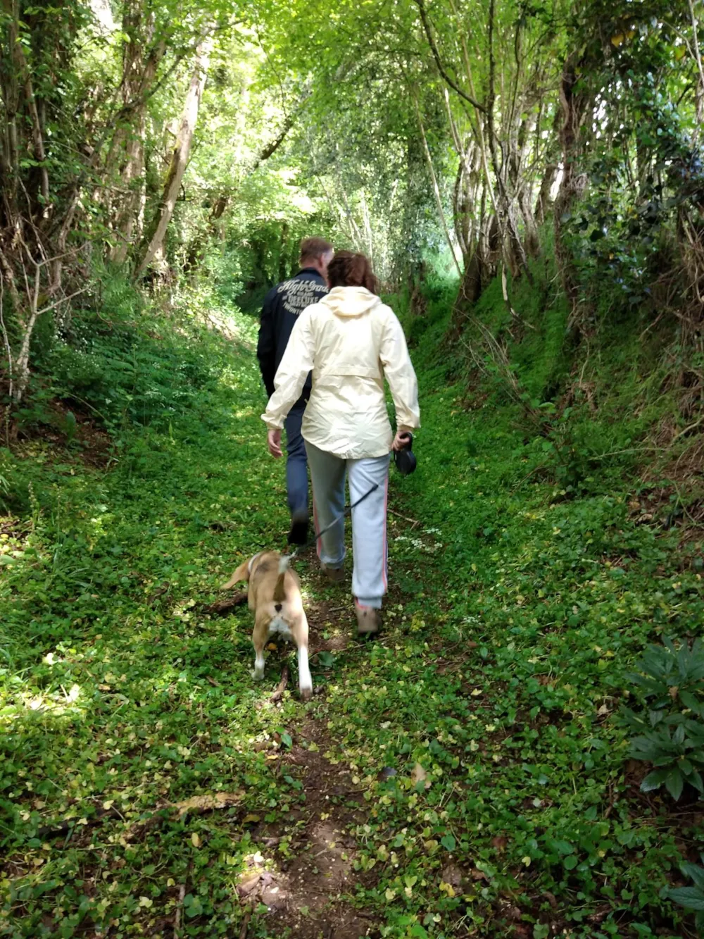 Camping Les Tournesols - image n°46 - UniversalBooking