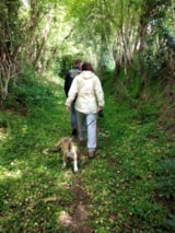 Foto #47 van Camping Les Tournesols