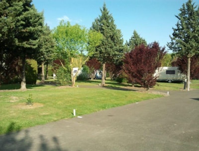 Camping Pitch