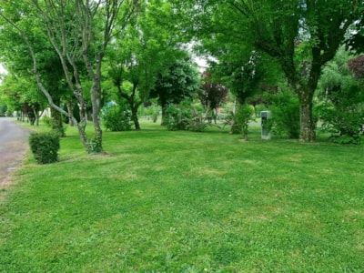 Camping Pitch