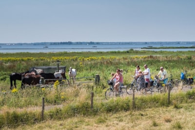 Camping 't Weergors