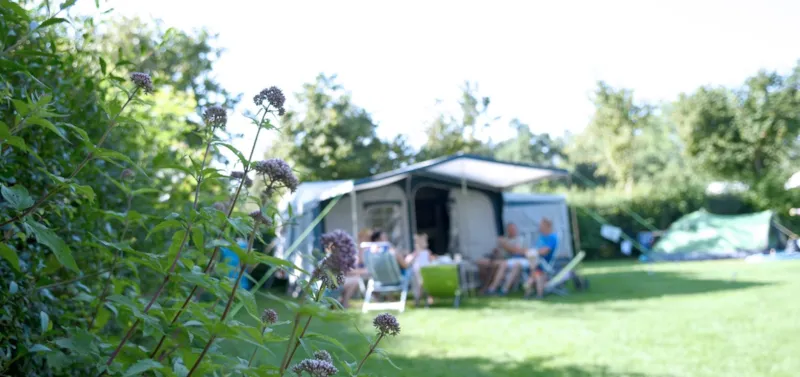 Emplacement Zone Sans Voiture Et Chien