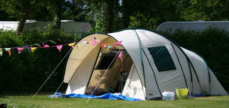 Emplacement Zone Sans Voiture Et Chien