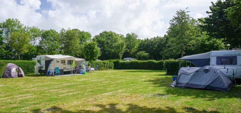 Sind Hunde auf Camping 't Weergors erlaubt? photo 2