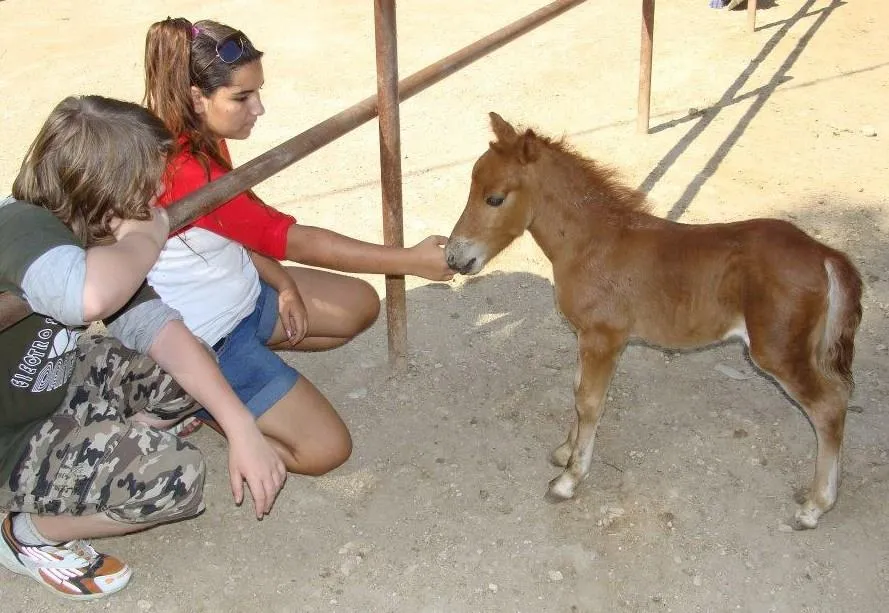 Camping MARINA PLAGE