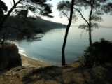 Foto #23 van Camping LA PRESQU’ILE DE GIENS