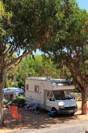 Stellplatz - Stellplatz Wohnwagen / Wohnmobil / Kombi (Inklusiv : 2 Personen Und 1 Fahrzeug) - Camping LA PRESQU'ILE DE GIENS