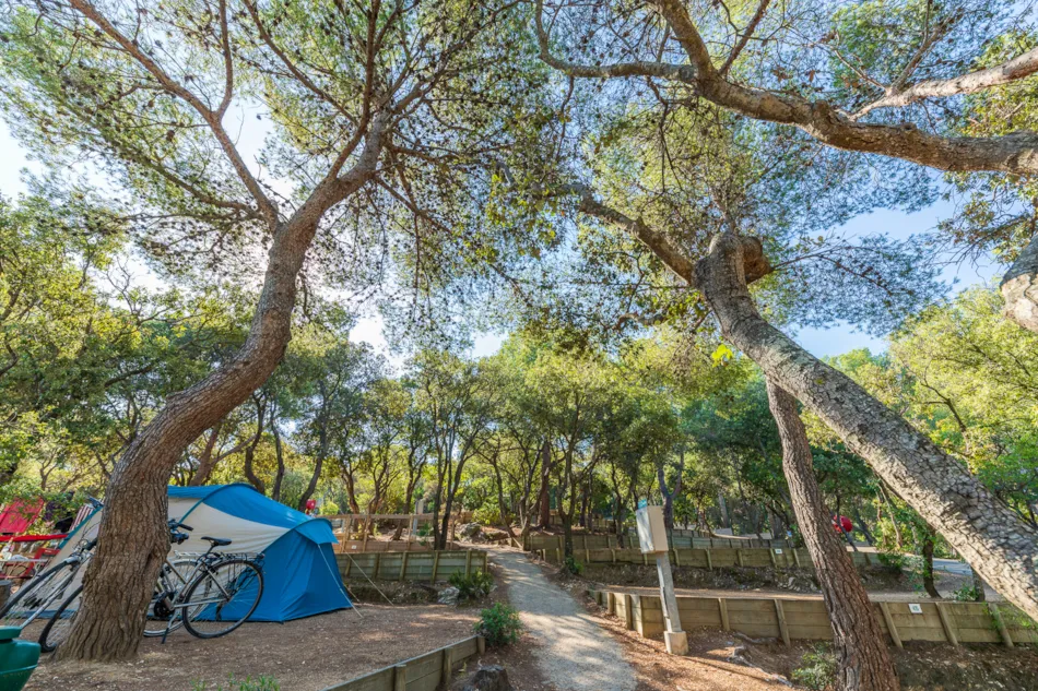Camping LA PRESQU'ILE DE GIENS
