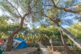 Foto #7 van Camping LA PRESQU’ILE DE GIENS